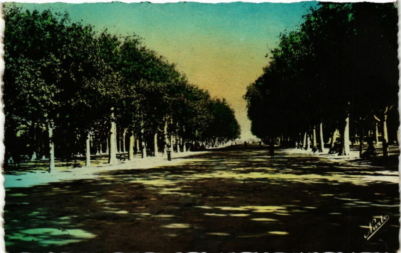 Carte postale ancienne Montpellier - L'Esplanade à Montpellier