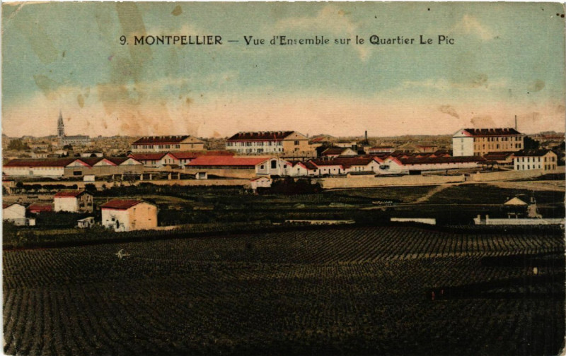 Carte postale ancienne Montpellier - Vue d'Ensemble sur le Quartier Le Pic à Montpellier