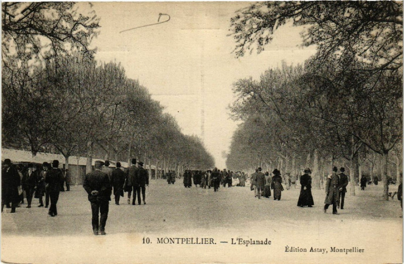 Carte postale ancienne Montpellier - L'Esplanade à Montpellier