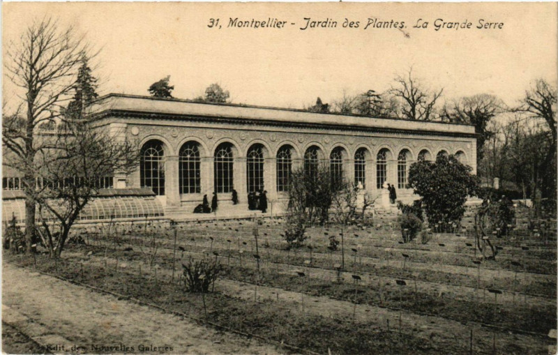 Carte postale ancienne Montpellier - Jardin des Plantes , La Grande Serre à Montpellier