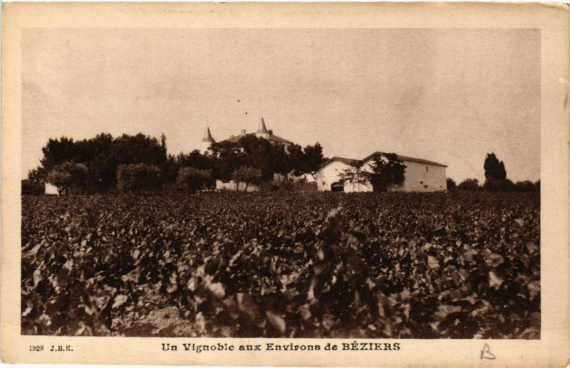 Carte postale ancienne Un Vignoble aux Environs de Béziers à Béziers