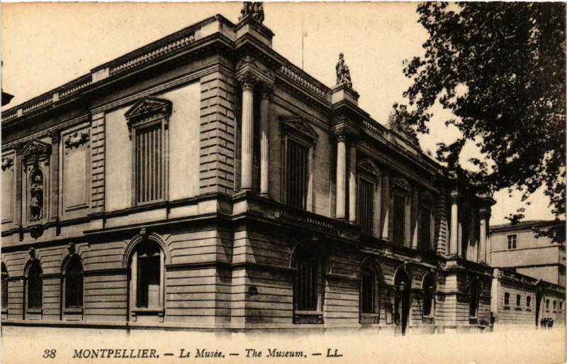 Carte postale ancienne Montpellier - Le Musée - The Museum à Montpellier