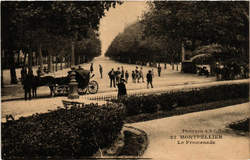 Carte postale ancienne Montpellier - La Promenade à Montpellier
