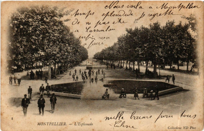 Carte postale ancienne Montpellier - L'Esplanade à Montpellier