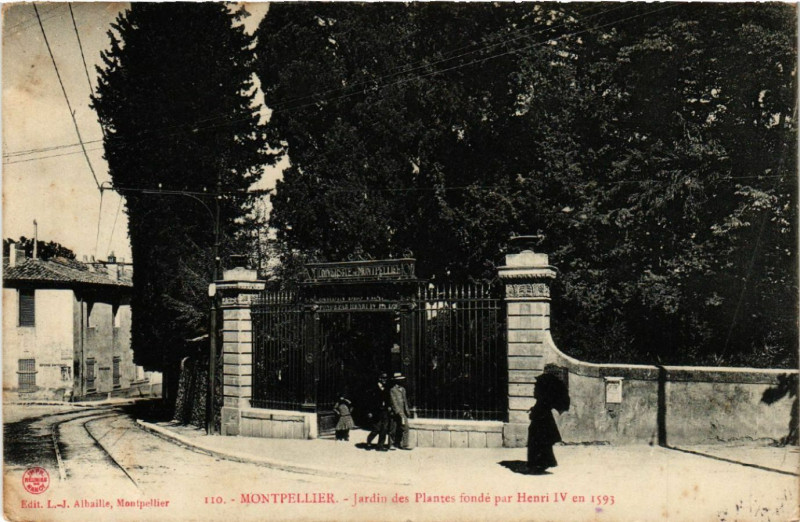 Carte postale ancienne Montpellier - Jardin des Plantes fondé par Henri Iv en 1593 à Montpellier