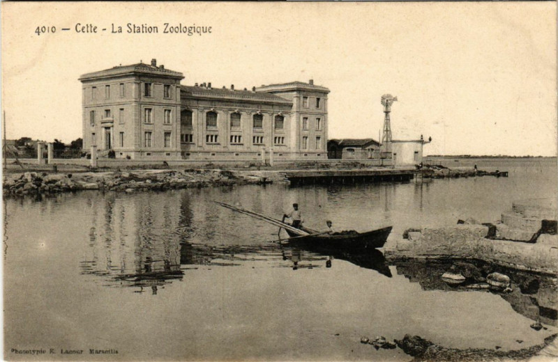 Carte postale ancienne Cette - La Station Zoologique