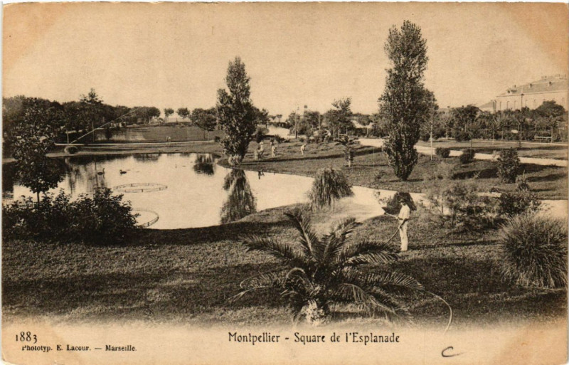 Carte postale ancienne Montpellier - Square de l'Esplanade à Montpellier