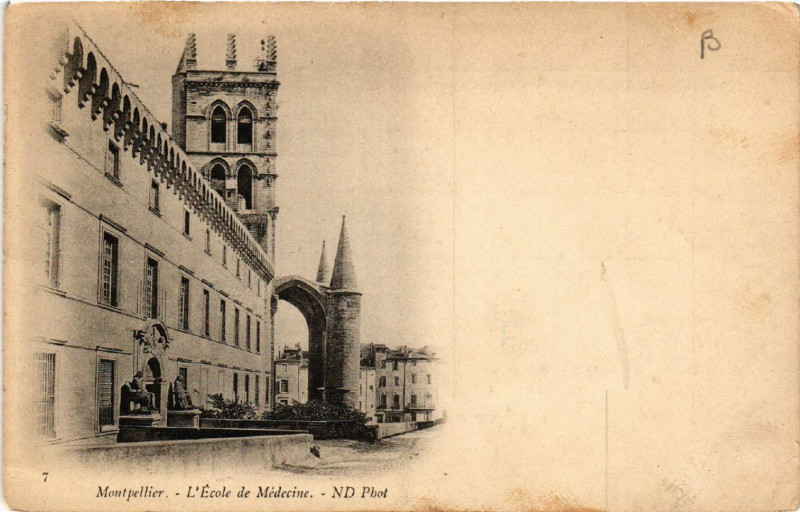 Carte postale ancienne Montpellier - L'Ecole de Médicine à Montpellier