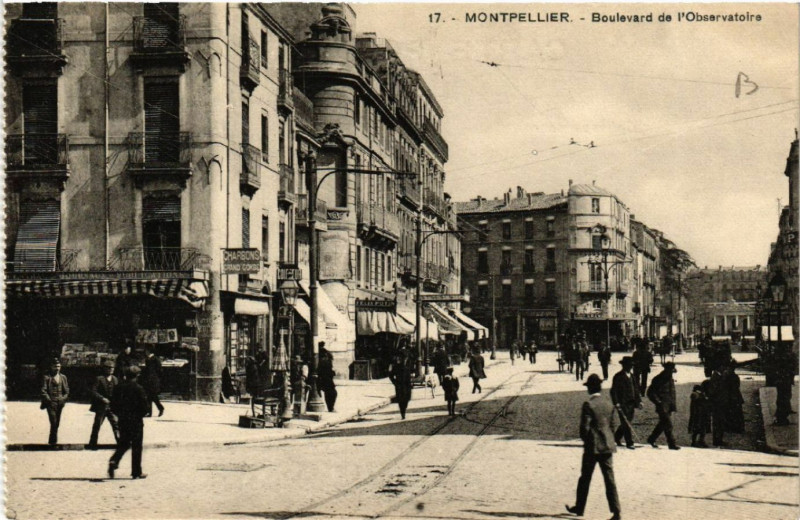 Carte postale ancienne Montpellier - Boulevard de l'Observatoire à Montpellier