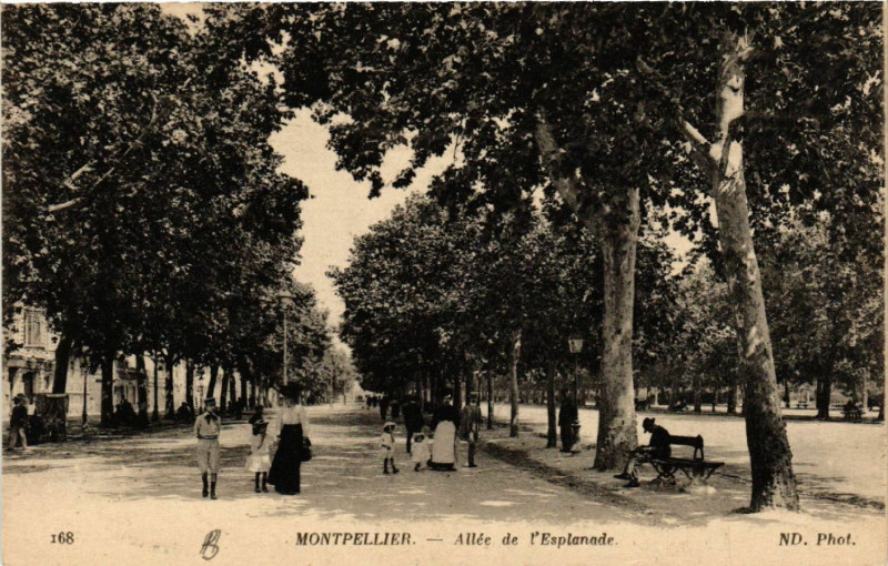 Carte postale ancienne Montpellier - Allée de l'Esplanade à Montpellier