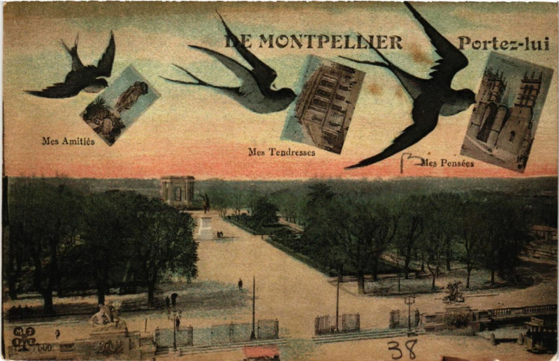 Carte postale ancienne De Montpellier - Portez-lui à Montpellier