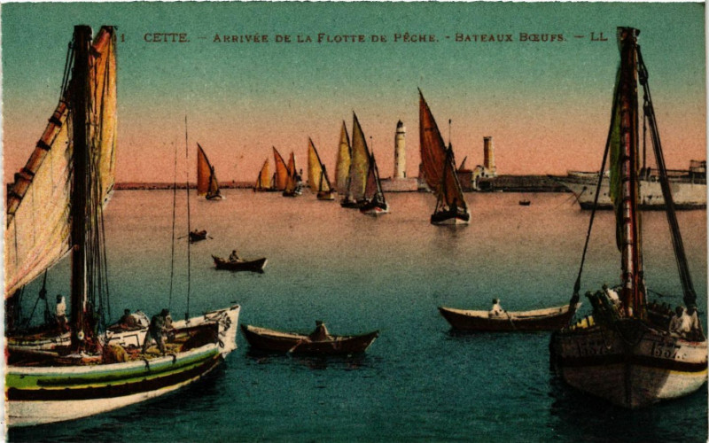 Carte postale ancienne Cette - Arrivée de la Flotte de Péche -Bateaux Boeufs