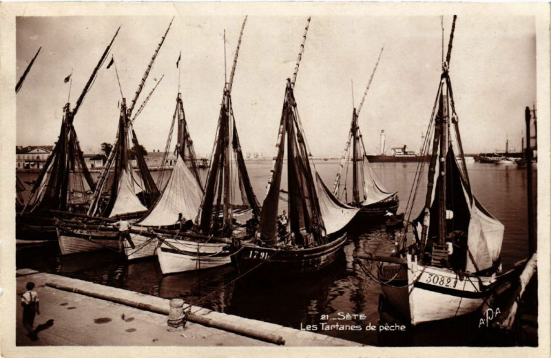Carte postale ancienne Séte - Les Tartanes de péche à Sète