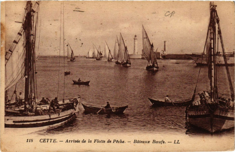 Carte postale ancienne Cette - Arrivée de la Flotte de Péche - Báteaux Boeufs