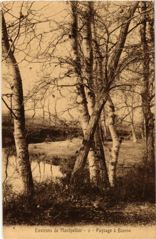 Carte postale ancienne Environs de  Montpellier - Paysage á Bionne à Montpellier