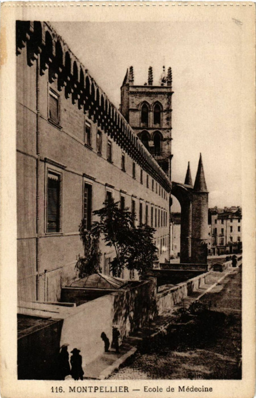 Carte postale ancienne Montpellier- Ecole de Médicine à Montpellier