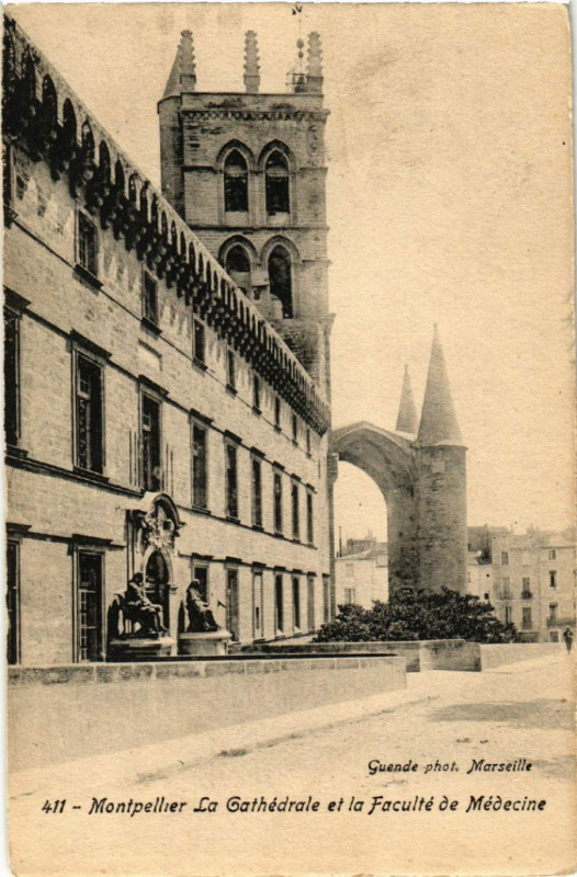 Carte postale ancienne Montpellier La Cathédrale et la Faculté de Médecine à Montpellier