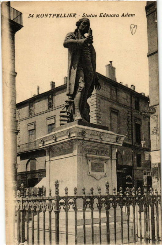 Carte postale ancienne Montpellier - Statue Edouard Adam à Montpellier