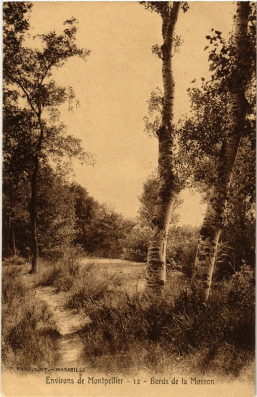 Carte postale ancienne Environs de Montpellier - Bords de la Mosson à Montpellier