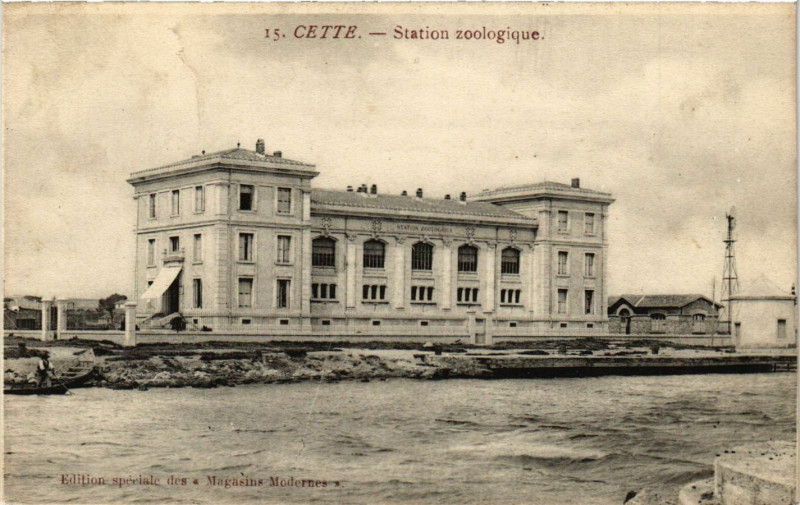 Carte postale ancienne Cette - Station zoologique