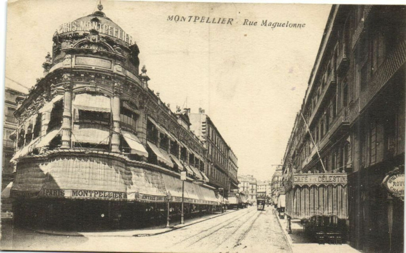 Carte postale ancienne Montpellier - Rue Maguelonne à Montpellier
