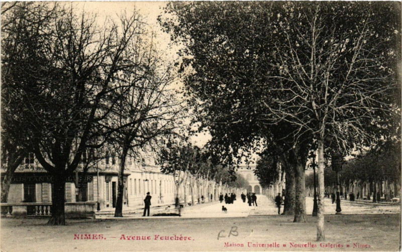 Carte postale ancienne Nimes - Avenue Feuchere à Nîmes