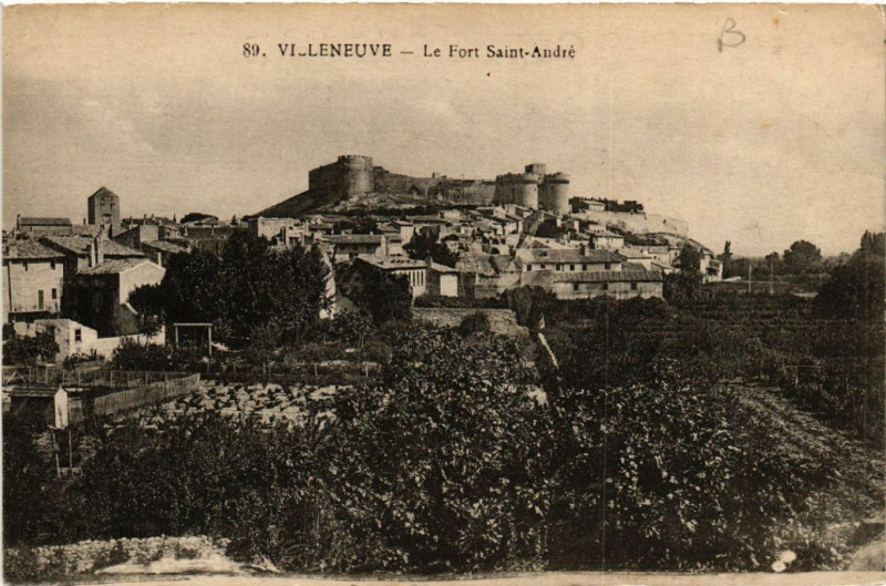 Carte postale ancienne Villeneuve - Le Fort Saint-Andre