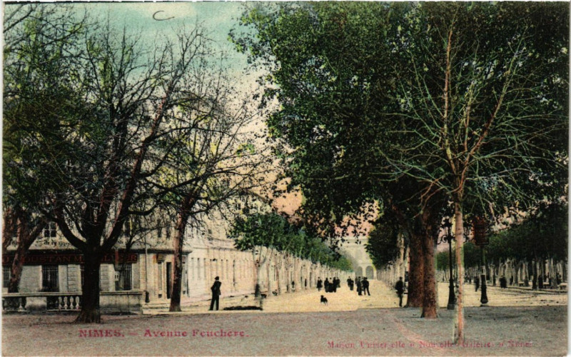 Carte postale ancienne Nimes - Avenue Feucheres à Nîmes