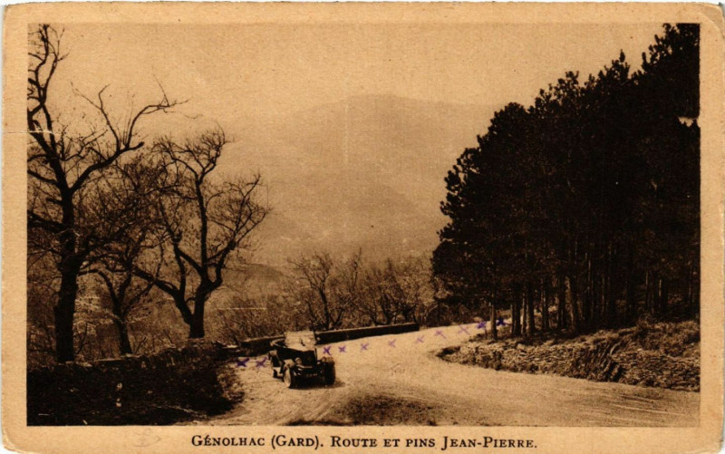 Carte postale ancienne Genolhac - Route et Pins Jean-Pierre à Génolhac