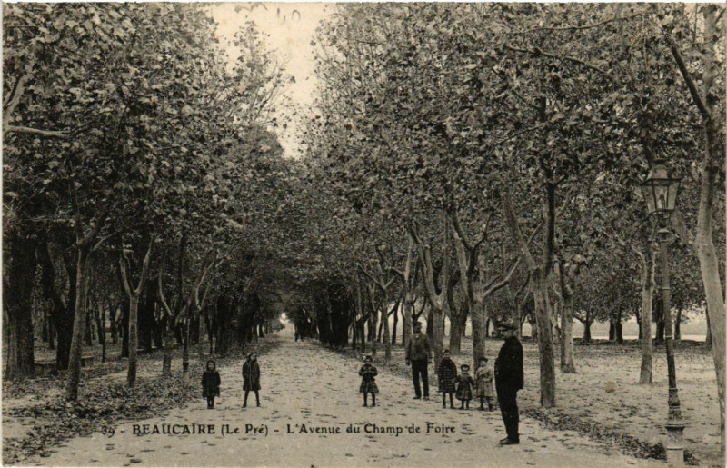 Carte postale ancienne Beaucaire (Le Pré) - L'Avenue du Champ de Foire à Beaucaire