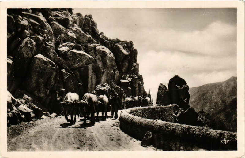 Carte postale ancienne Les Gorges Du Tarn - Route du Vigan a L'Aigoual