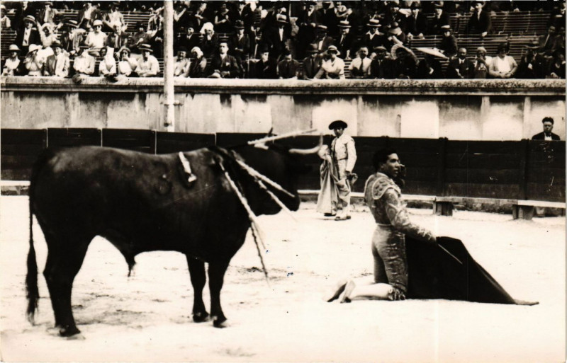 Carte postale ancienne Nimes - Cornicerito à Nîmes