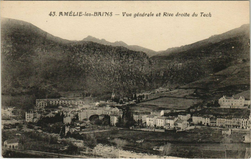 Carte postale ancienne Amelie-les-Bains Vue générale