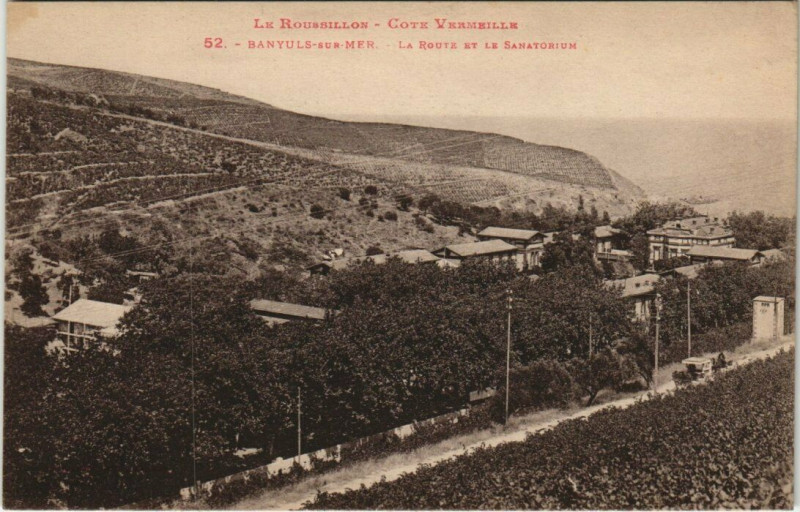 Carte postale ancienne Banyuls-sur-Mer Route et le Sémaphore à Banyuls-sur-Mer