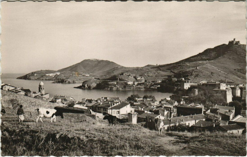 Carte postale ancienne Collioure vue sur la ville à Collioure