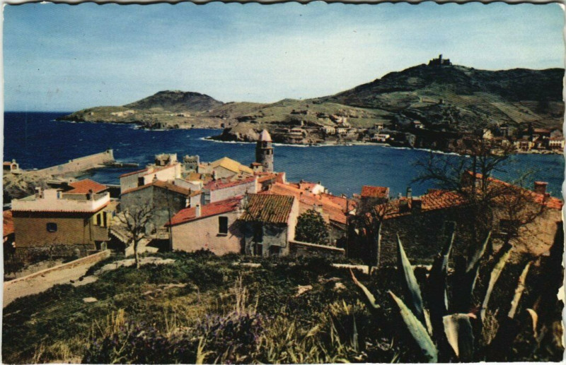 Carte postale ancienne Collioure à Collioure