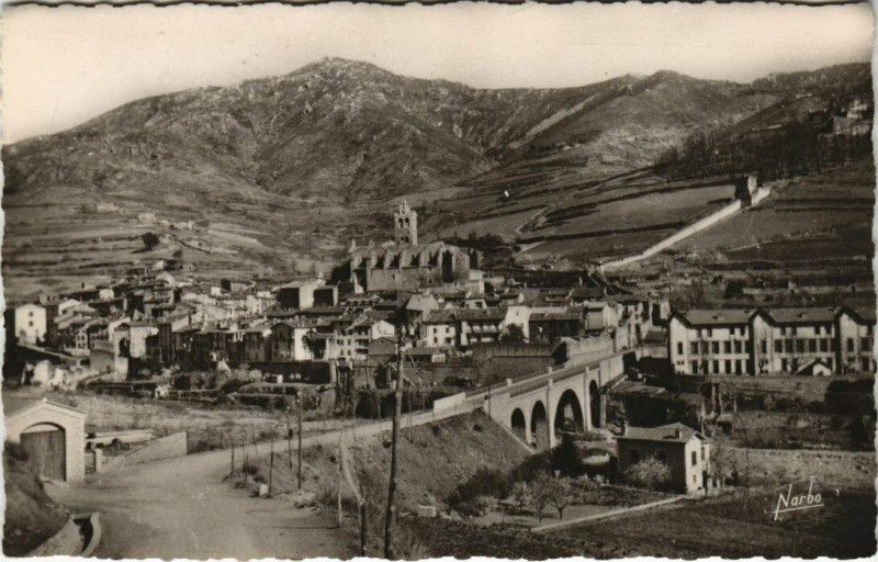 Carte postale ancienne Prats-de-Mollo Vue générale à Llo