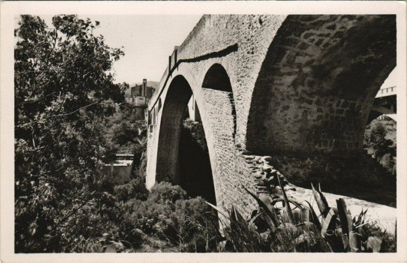 Carte postale ancienne Ceret Les Arches du Pont à Céret