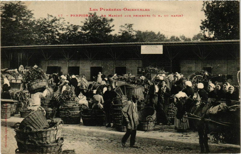 Carte postale ancienne Perpignan Le Marché aux Primeurs 5 h du matin à Perpignan