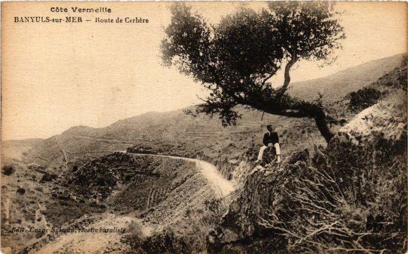 Carte postale ancienne Cote Vermeille - Banyuls-sur-Mer - Route de Cerbere à Banyuls-sur-Mer