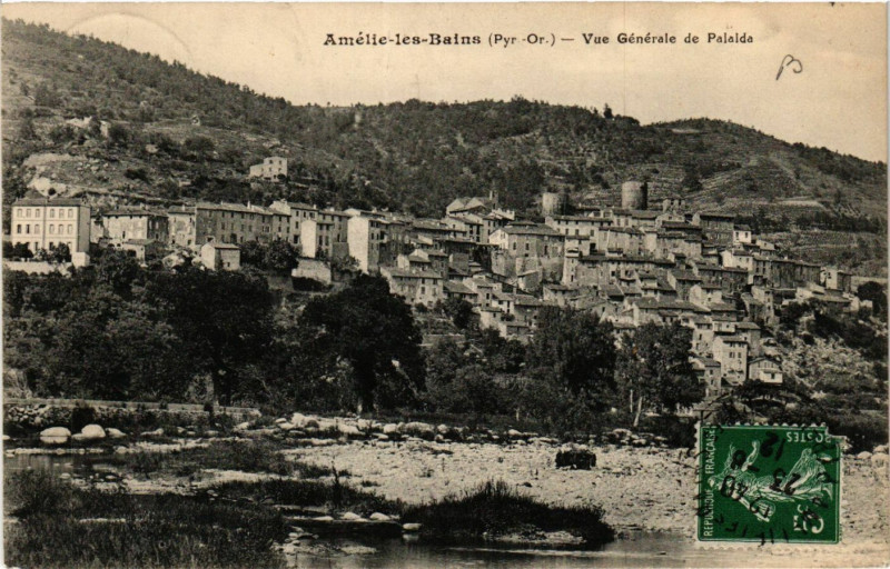 Carte postale ancienne Amelie-les-Bains - Vue générale de Palaide