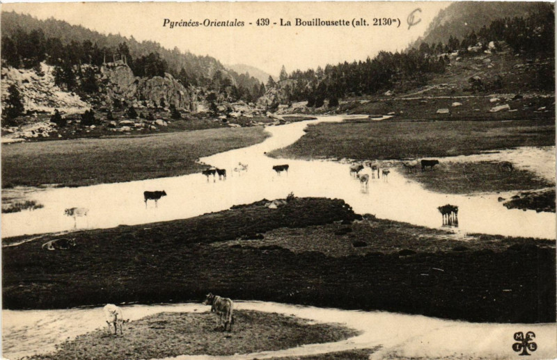 Carte postale ancienne Pyrénées-Orientales - La Bouillousette (alt.2130 m) à Llo