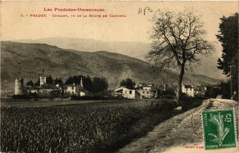 Carte postale ancienne Prades - Codalet vu de la Route de Taurinya à Prades