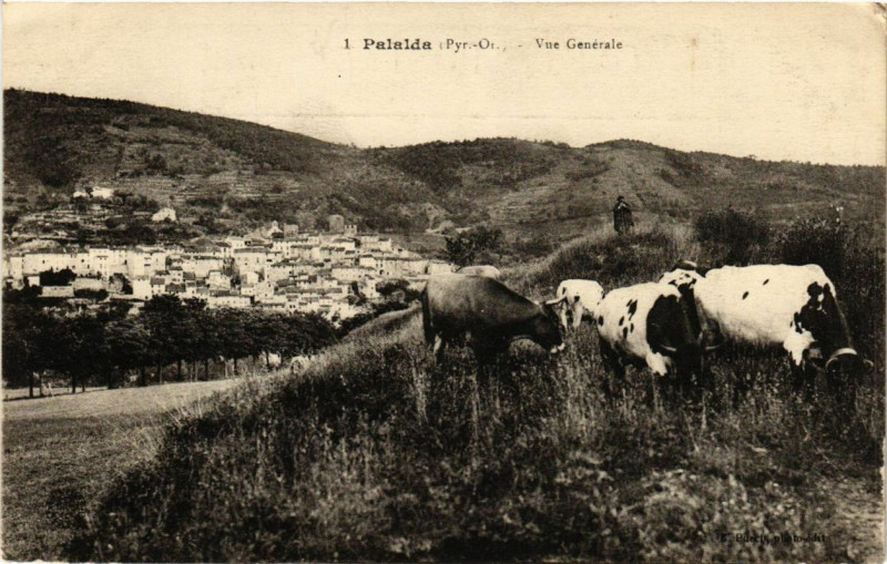 Carte postale ancienne Palalda vue générale