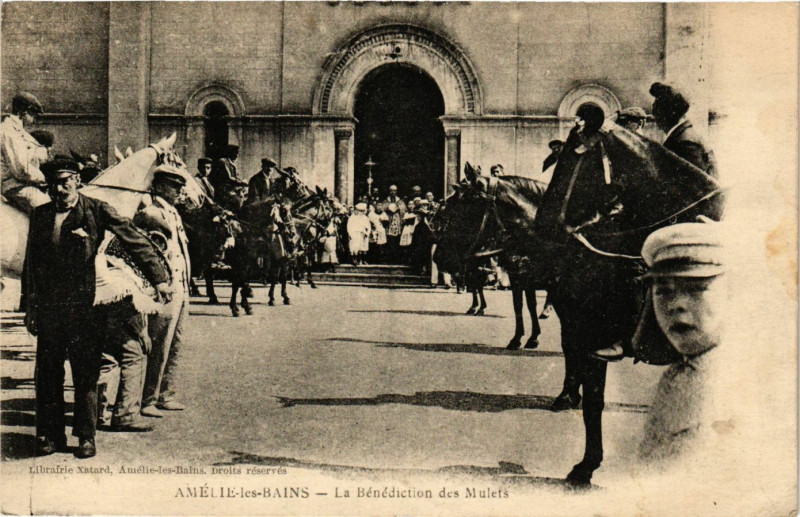 Carte postale ancienne Amelie-les-Bains - La Benediction des Mulets