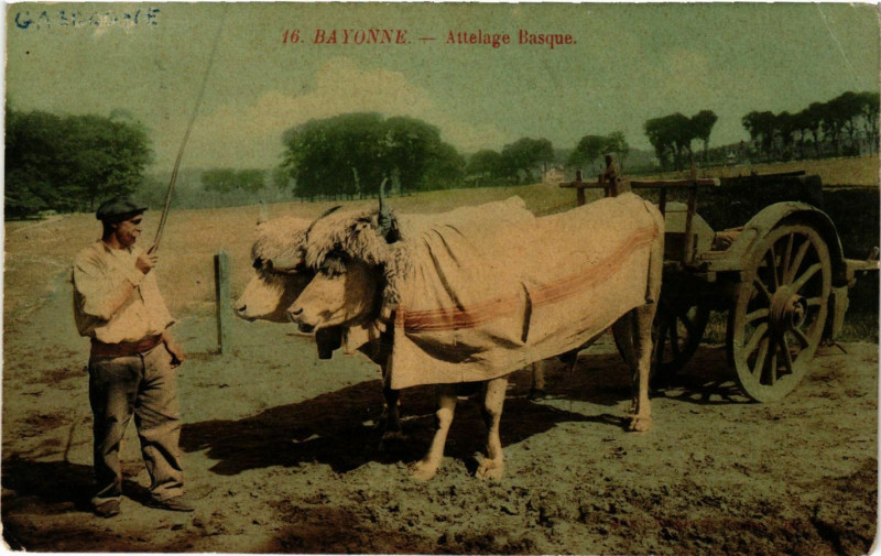 Carte postale ancienne Bayonne - Attelage Basque