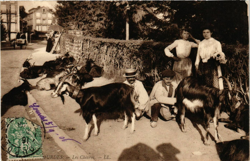 Carte postale ancienne Bourdes - Les Chevres à Ur
