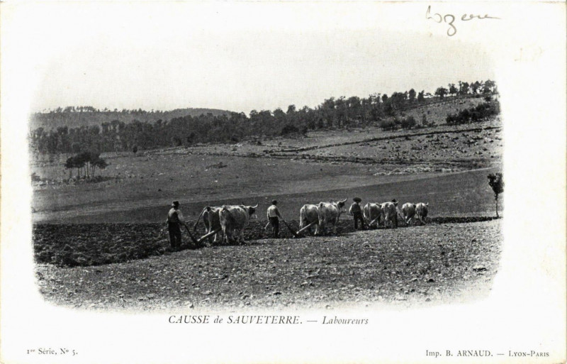 Carte postale ancienne Causse de Sauveterre - Laboureurs