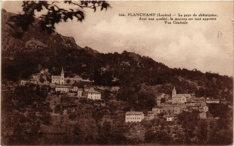 Carte postale ancienne Planchamp - Vue générale - Le pays duchataignier