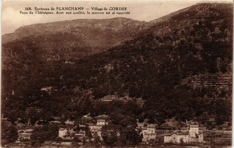 Carte postale ancienne Cordes - Village de Cordes - Env. de Planchamp